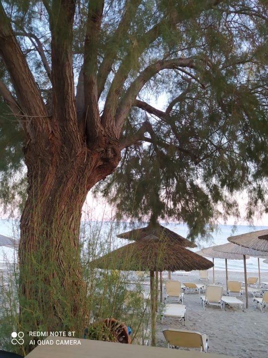Strand alltoura Club Hotel Kiotari Miraluna