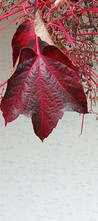 Sport & Freizeit Hotel Heinz