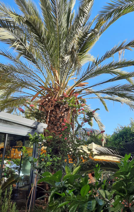 Außenansicht Hotel Kahya