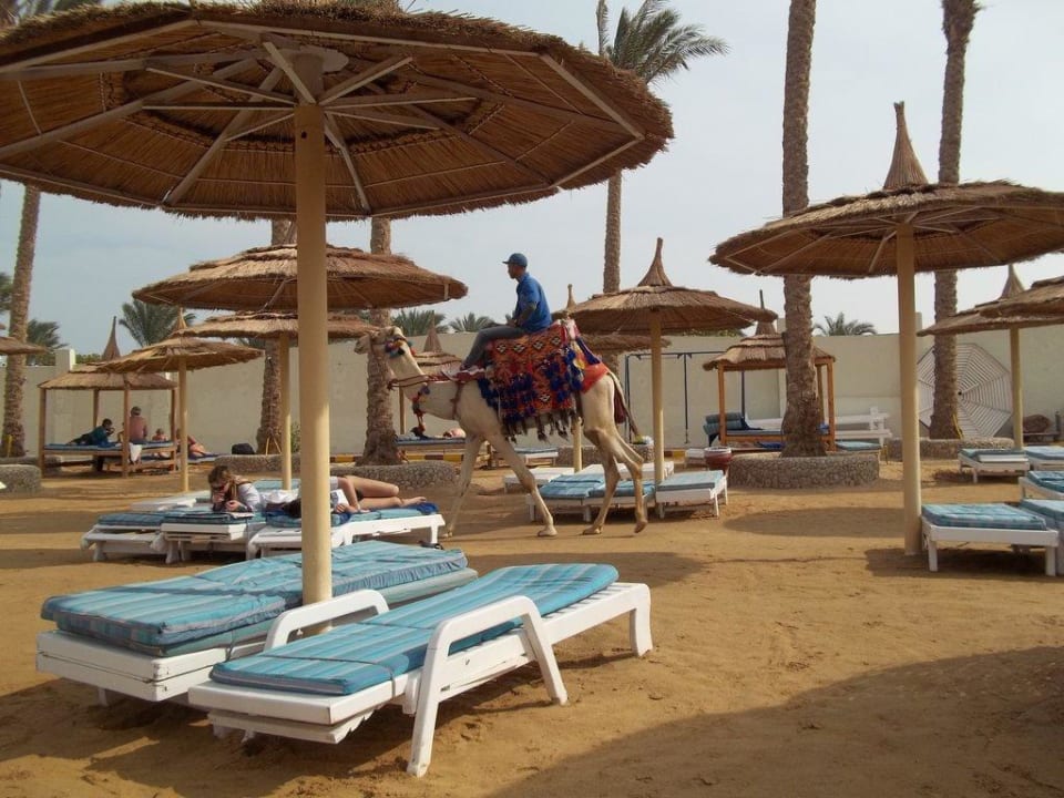 Strand Pickalbatros Alf Leila Wa Leila Resort - Neverland Hurghada