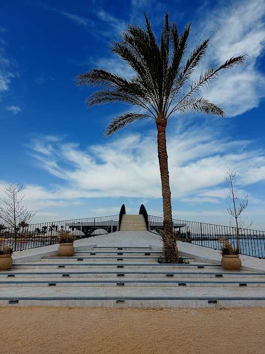 Außenansicht Desert Rose