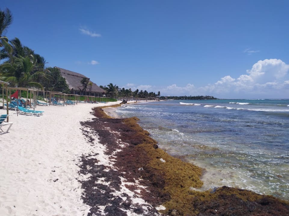 Strand Akumal Bay Beach & Wellness Resort