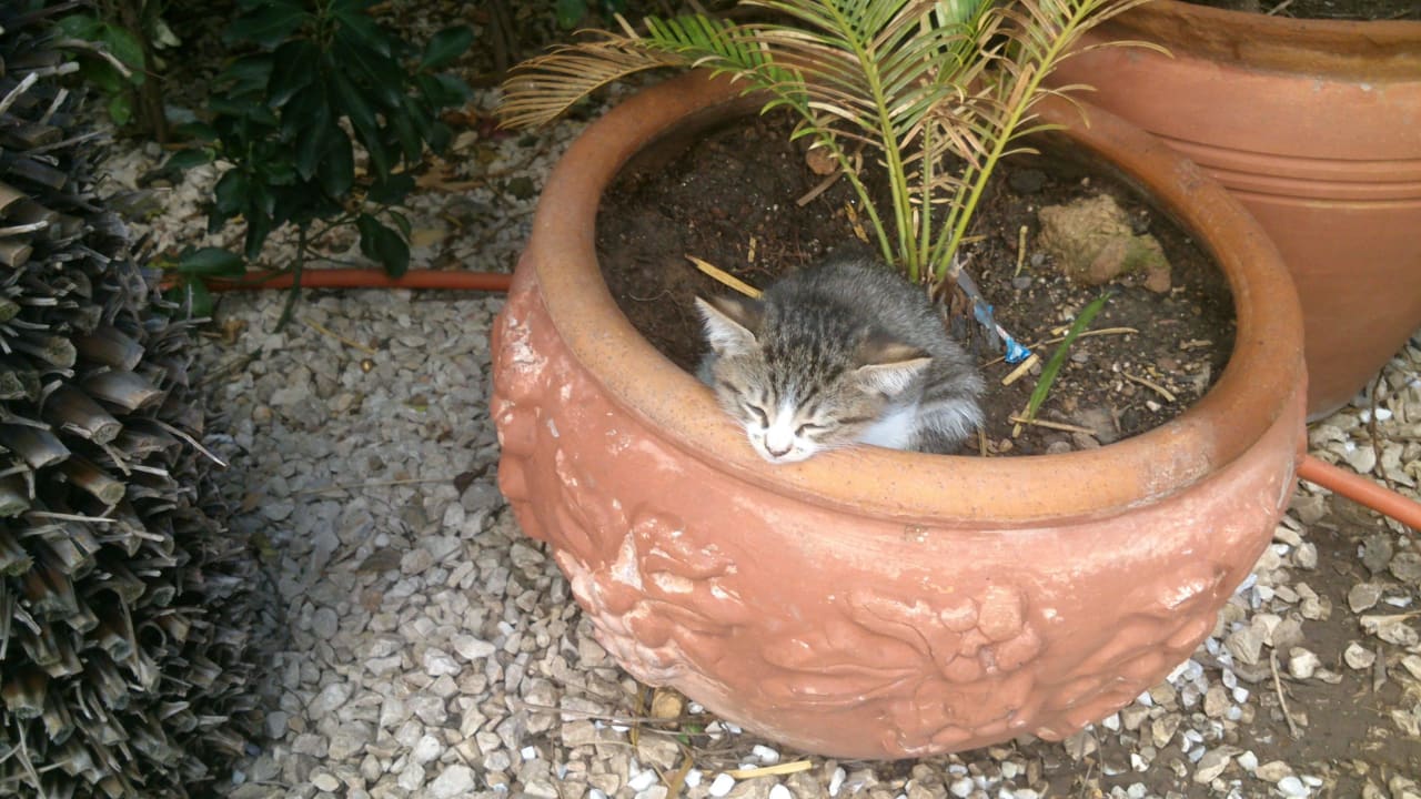 Antalya 2015 Hotel Club Sera Hotel Club Sera