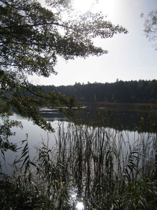 Parsteinsee Waldseehotel Frenz