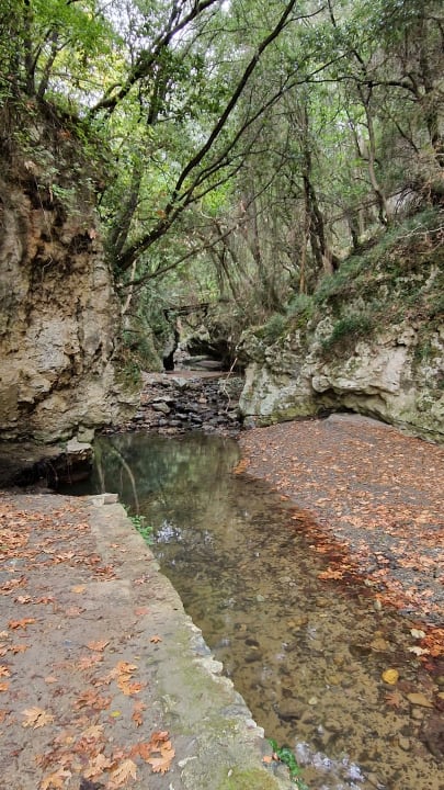 Gartenanlage allsun Hotel Carolina Mare