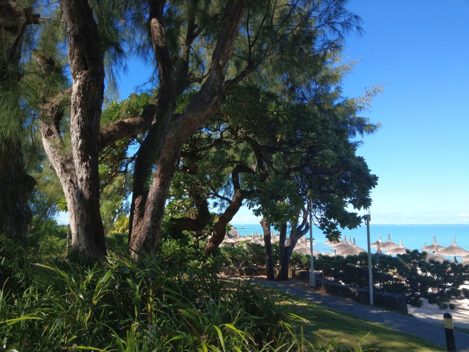 Gartenanlage Lagoon Attitude - Adults only