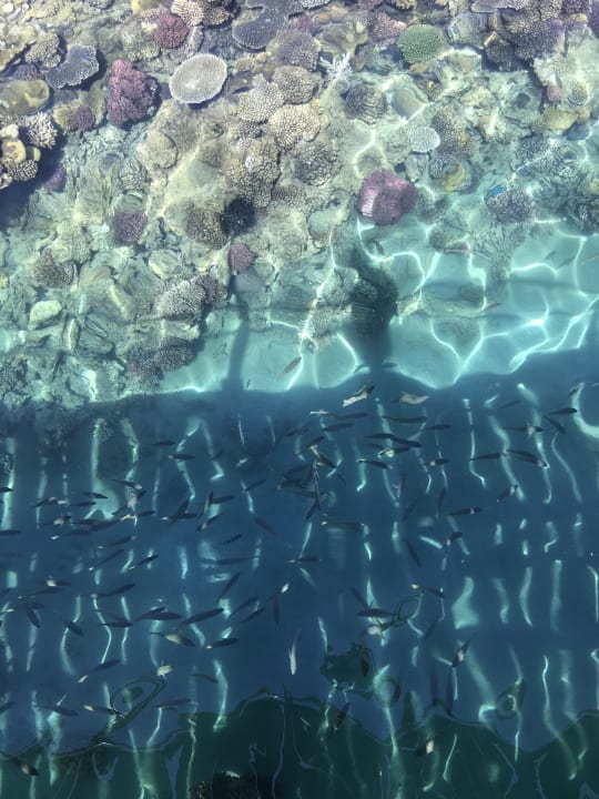 Strand Shams Alam Beach Resort