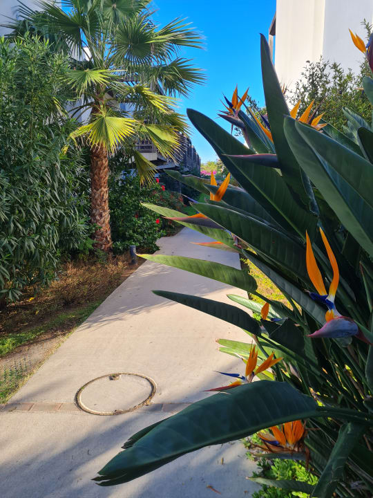 Gartenanlage ROBINSON QUINTA DA RIA