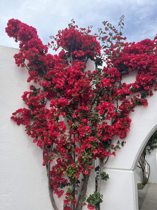 Gartenanlage TUI KIDS CLUB Alex Beach