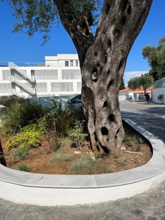 Außenansicht Ray Hotel Corfu