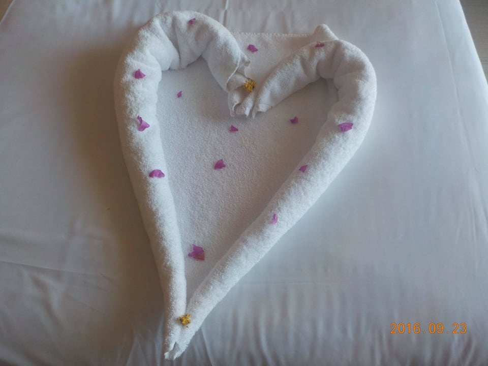 Immer wieder eine schöne Überraschung Golden Beach Resort