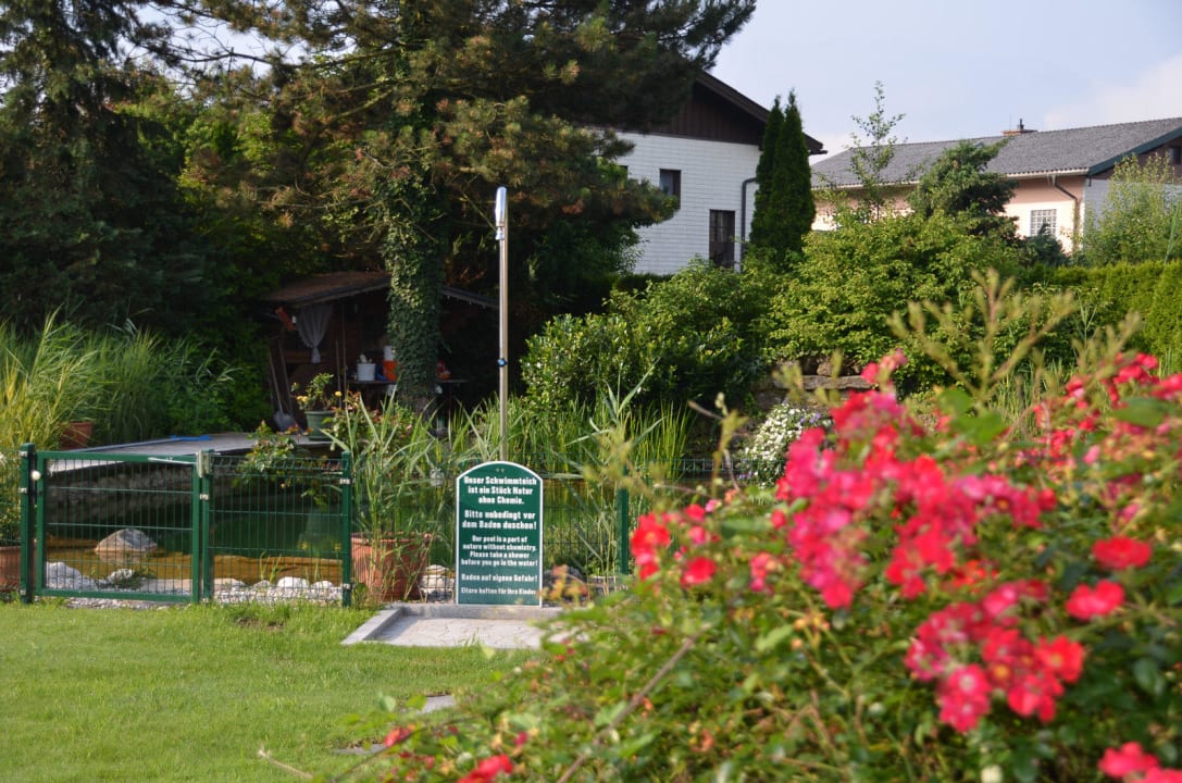 Im Garten der Natur-Bade-Teich ... ein Highlight. Hotel Himmelreich