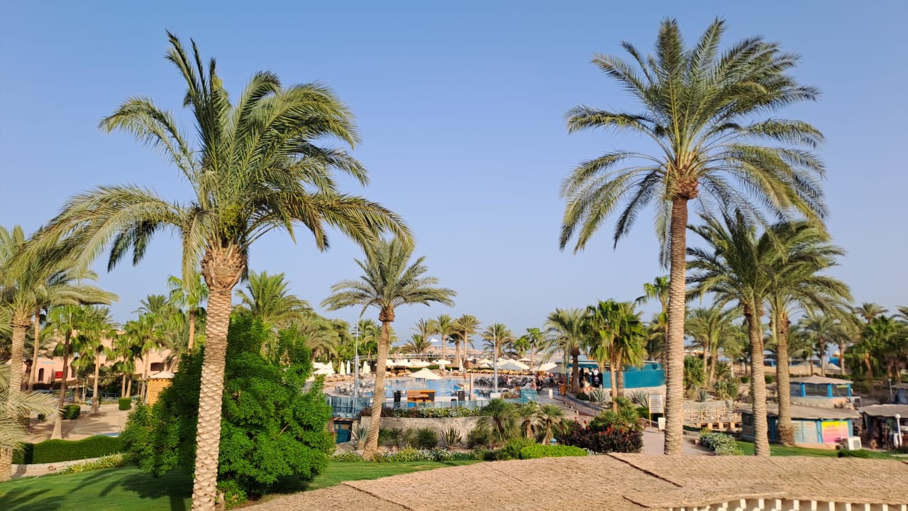 Strand Club Paradisio El Gouna, Red Sea