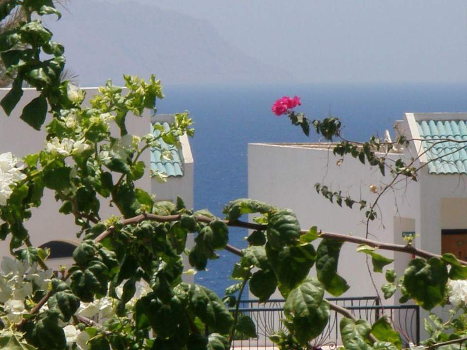 Widok z pokoju Sultan Gardens Resort