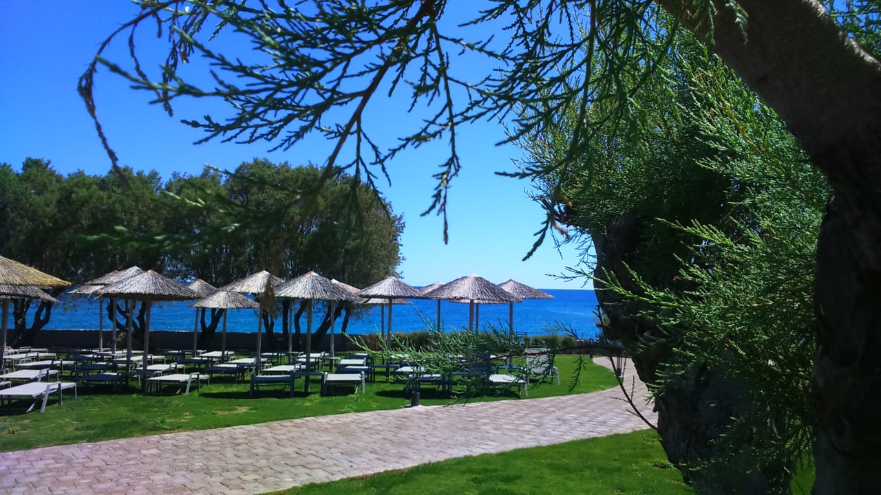 Liegewiese am Meer / Pool Atlantica Aegean Blue