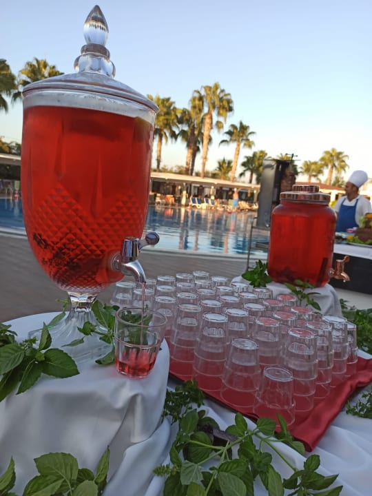 Gastro FUN&SUN Smart Hane Sun Hotel