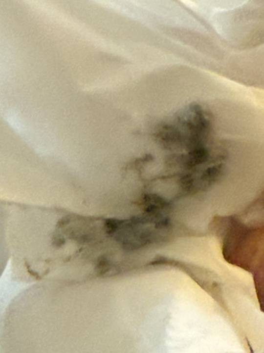 Zimmer SBH Hotel Taro Beach