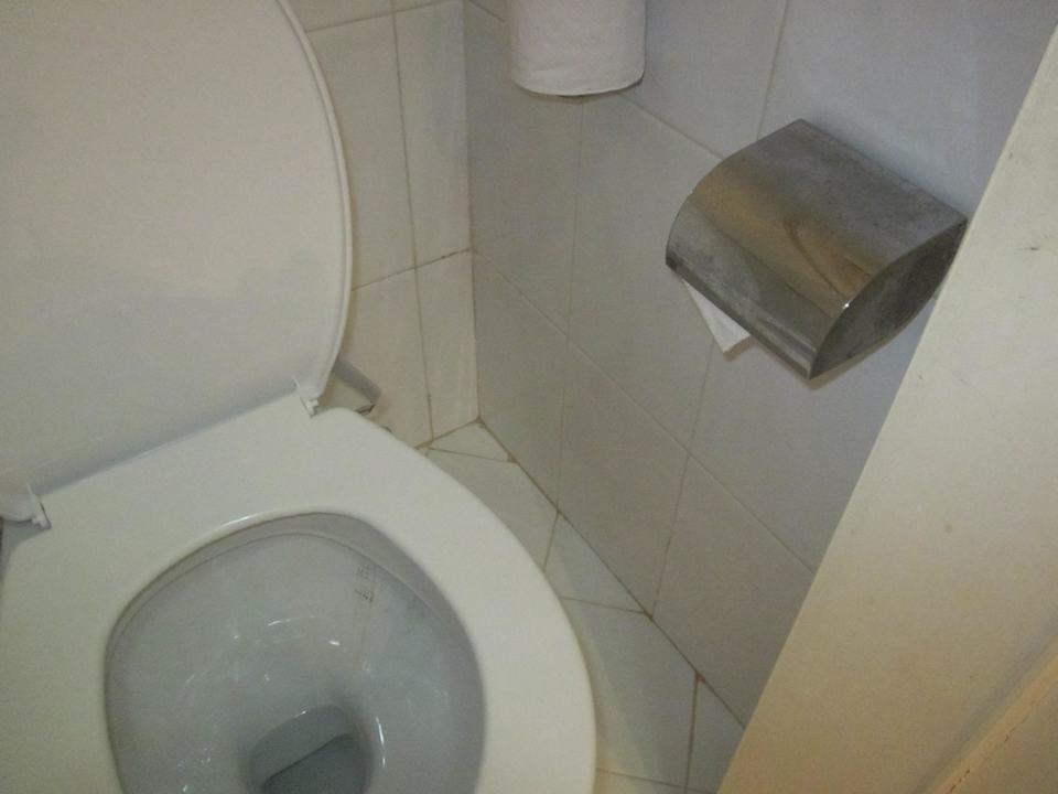 Toilette Starfish Cuatro Palmas