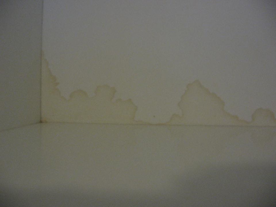 Küchenschrank - leer und feucht Harbour Plaza Metropolis