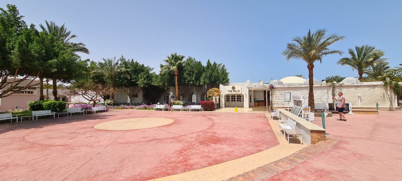 Sport & Freizeit Desert Rose