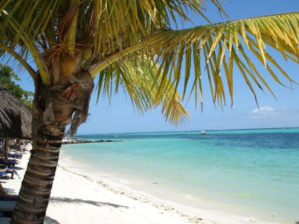 Wie aus dem Blderbuch,ist aber am Strand vom Hotel Villa Seewoo