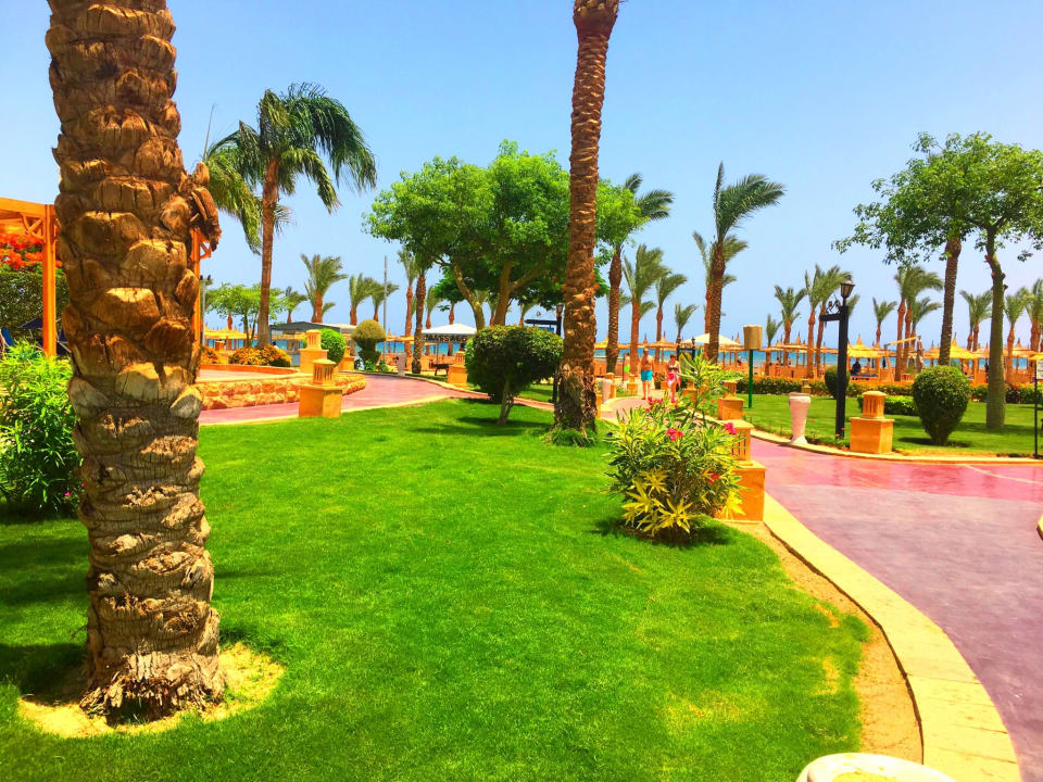 Gartenanlage Steigenberger Coraya Beach - Adults only