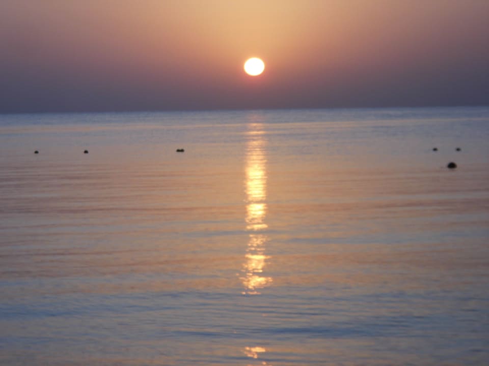 Sonnenaufgang Eagles Paradise Abu Soma