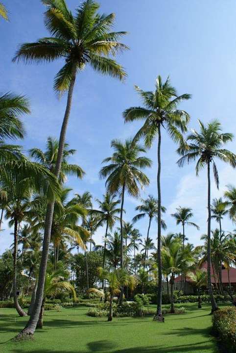 Sunny days Grand Palladium Select Bávaro Resort & Spa