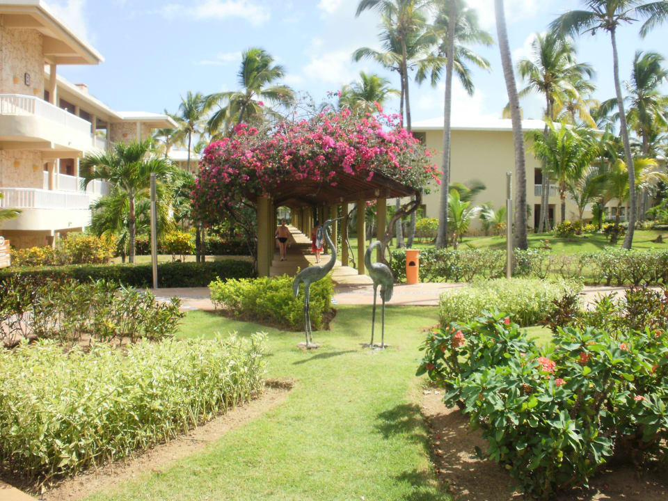 Garten Grand Sirenis Punta Cana Resort & Aquagames