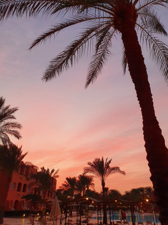 Pool Jaz Makadi Oasis Resort