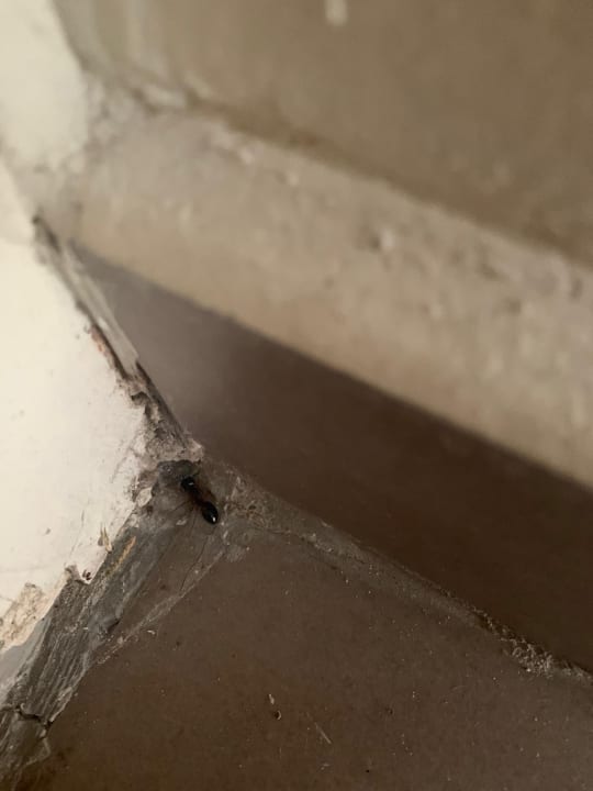 Zimmer Hotel Pine Bay Holiday Resort