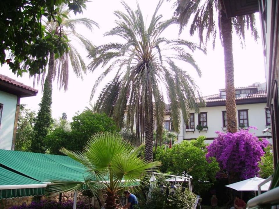 Blick aus unserem Zimmer in den Garten des Hotels Dogan Hotel by Prana Hotels & Resorts