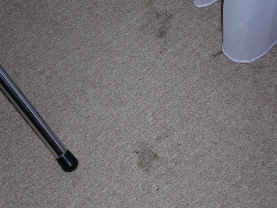 Schmutziger Teppichboden! Balmy Foresta