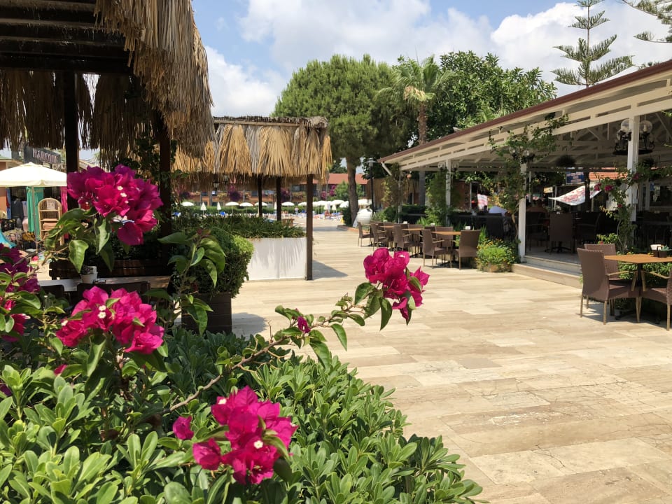 Gartenanlage Club Turtas Beach Hotel