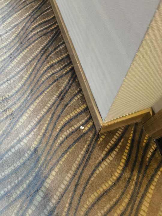 Sonstiges Hotel Delphin Imperial