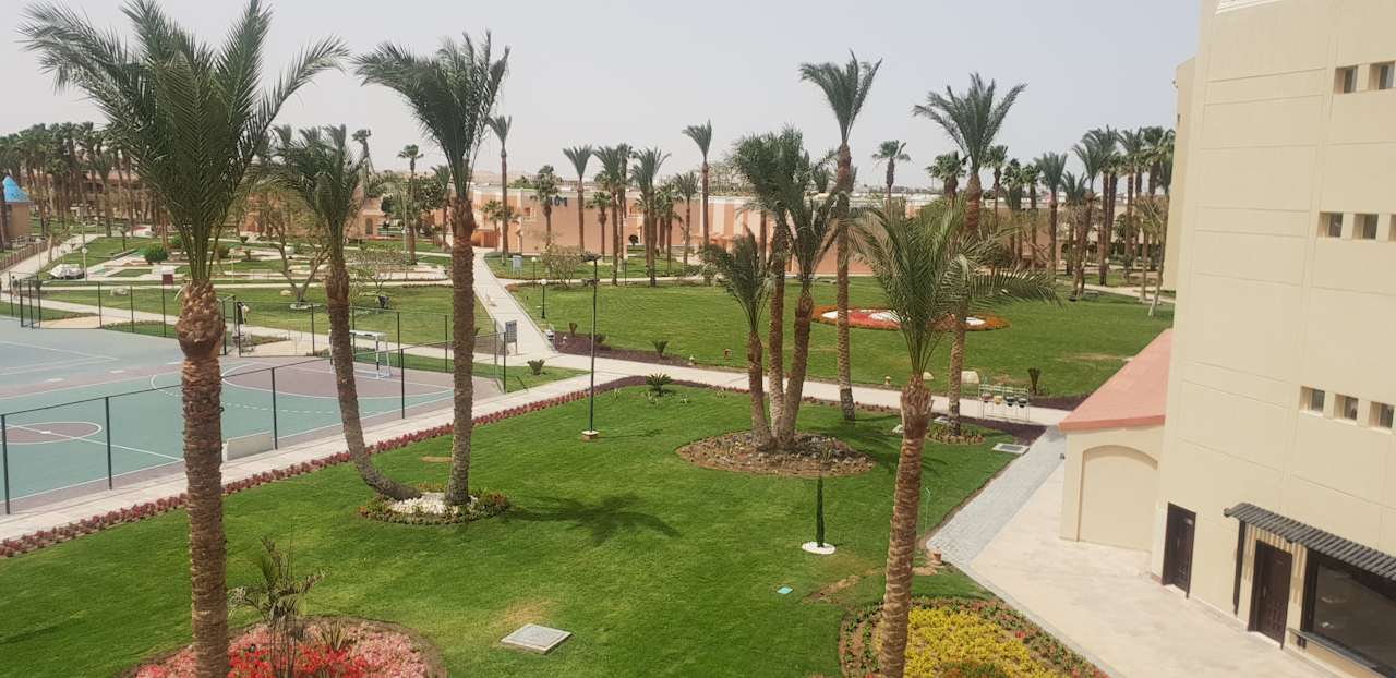 Gartenanlage Beach Albatros Resort