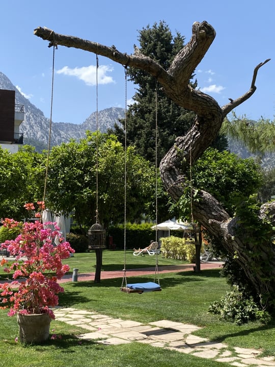 Gartenanlage TUI MAGIC LIFE Beldibi +16