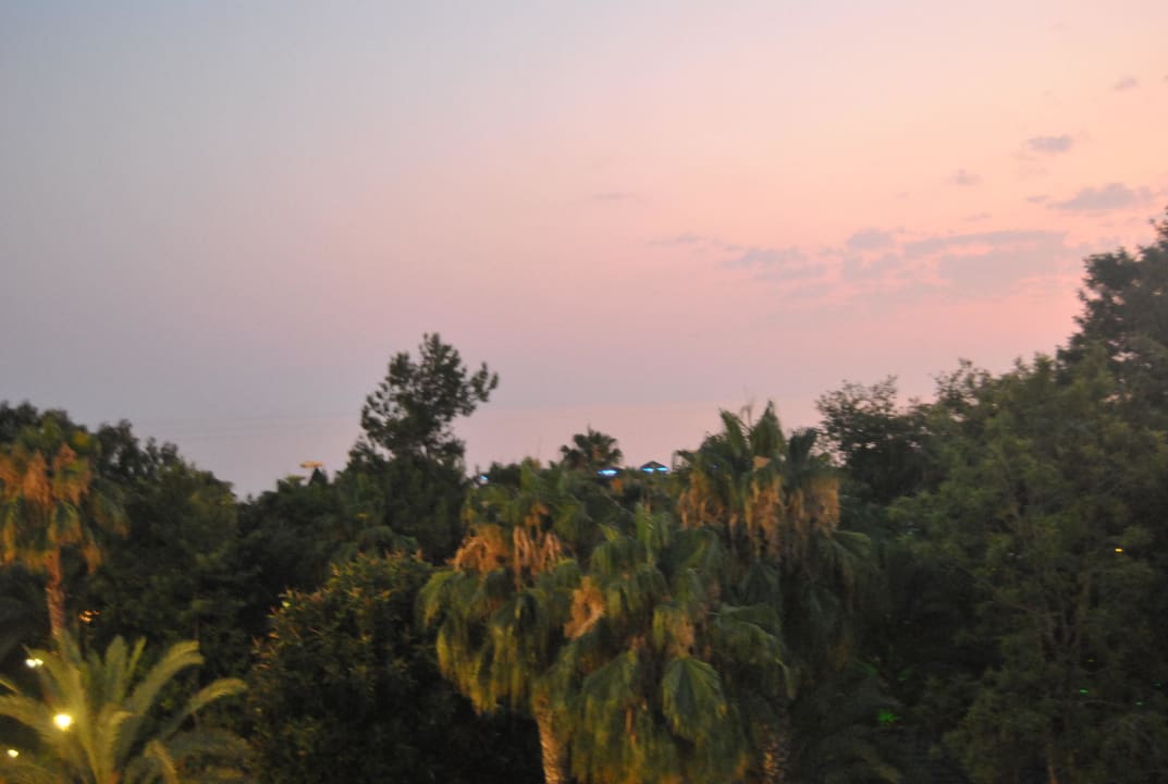 4.Etage - Der Ausblick Botanik Hotel & Resort
