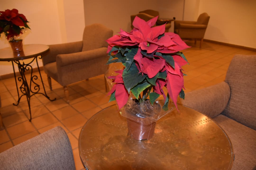 Sonstiges SBH Club Paraiso Playa