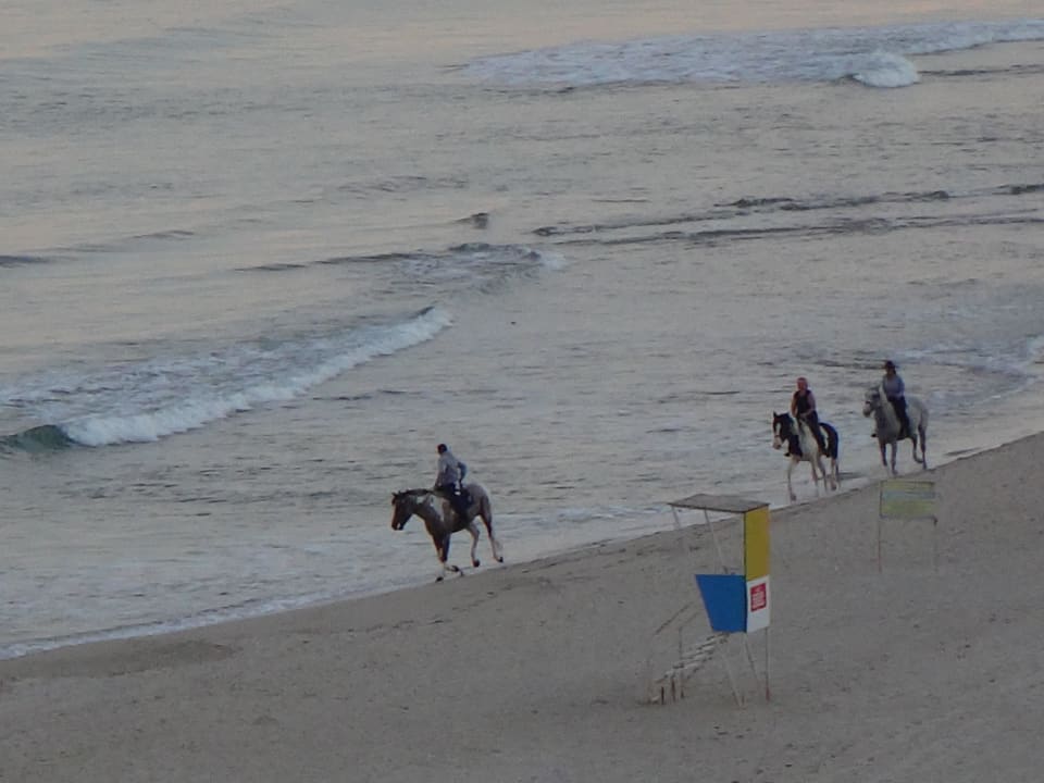 Mädchentraüme werden wahr Hotel Borjana