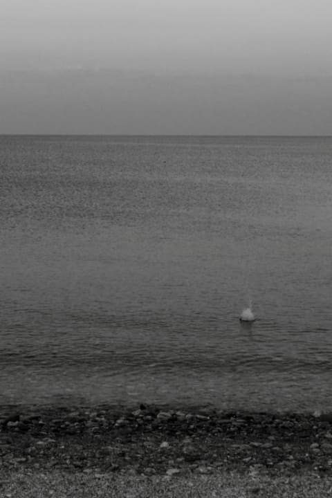 Steine alltoura Club Hotel Poseidon Palace