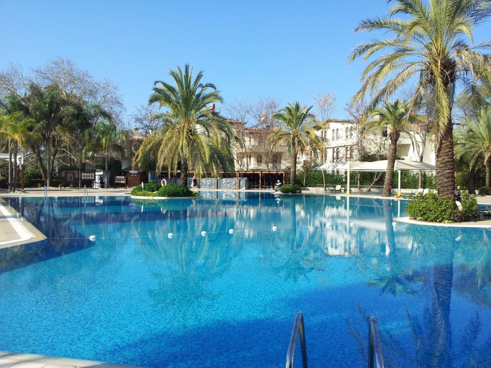 Schöner Pool Side Star Elegance