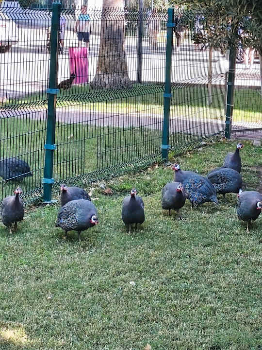 Gartenanlage VONRESORT Golden Beach