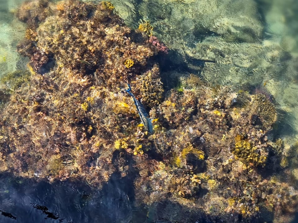 Sonstiges Casa Mare Resort