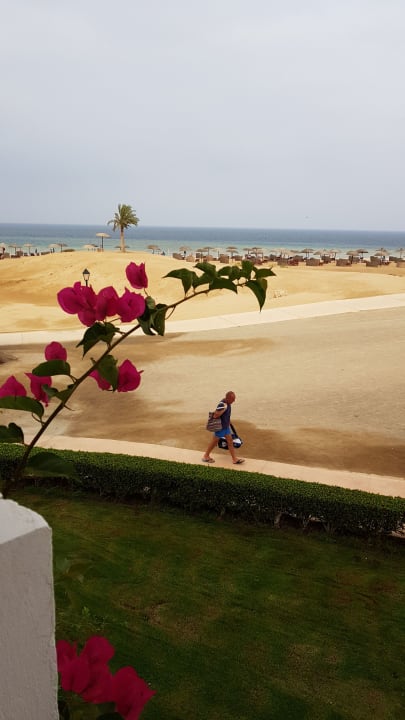 Ausblick Hotel Gorgonia Beach Resort