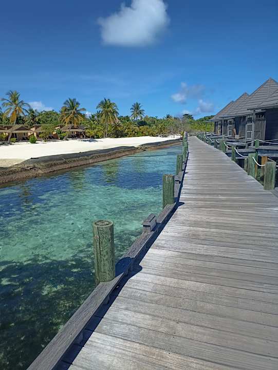 Zimmer Kuredu Island Resort & Spa