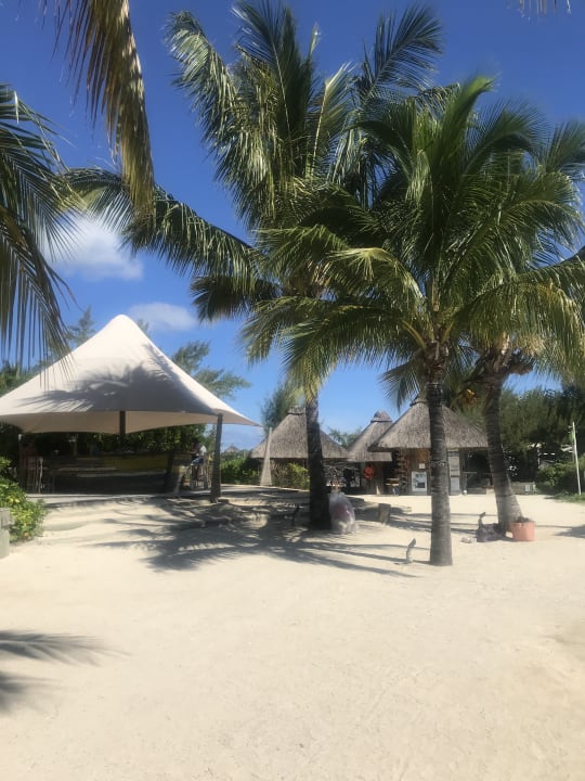 Strand Zilwa Attitude