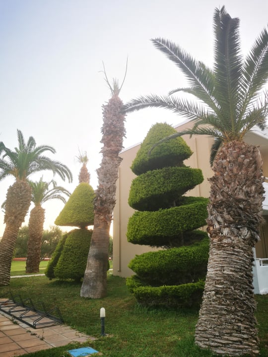 Gartenanlage Corali Hotel