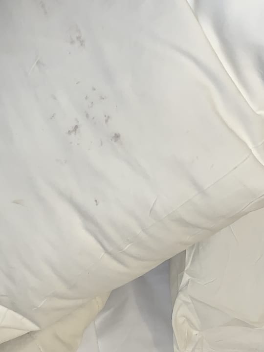 Zimmer Bahia Principe Luxury Esmeralda