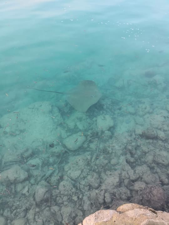 Sport & Freizeit Adaaran Select Hudhuran Fushi - Premium All Inclusive